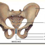 Pubalgia: quel dolore a inguine e coscia