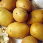 La bontà dei tuberi