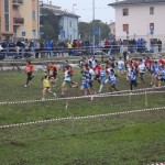 Cross, domenica appuntamento a Pescantina