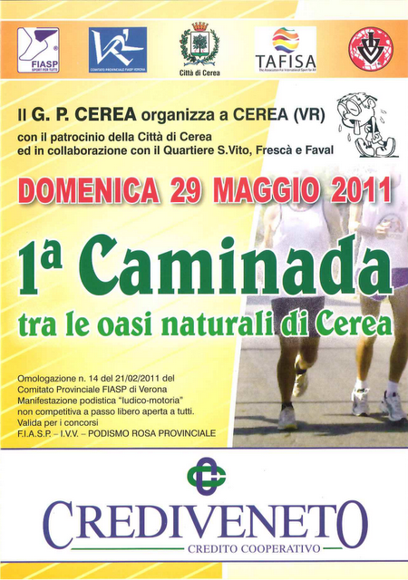 Salcus Fiasp a Cerea