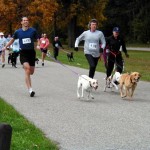 2° edizione della RUN&DOGS