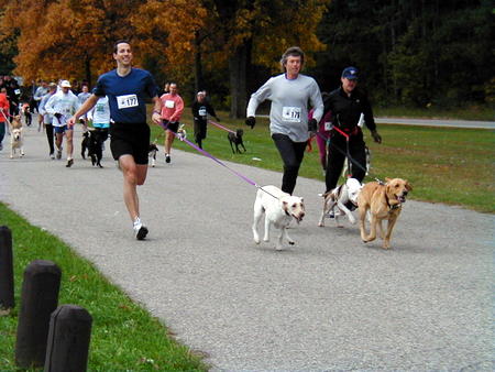 2° edizione della RUN&DOGS 