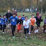Rinviata seconda prova Trofeo città di Ferrara