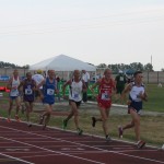 Collezione di primati a Comacchio