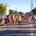 Ferragosto Salcus