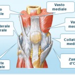 CON IL GIUSTO RISCALDAMENTO IL GINOCCHIO RINGRAZIA