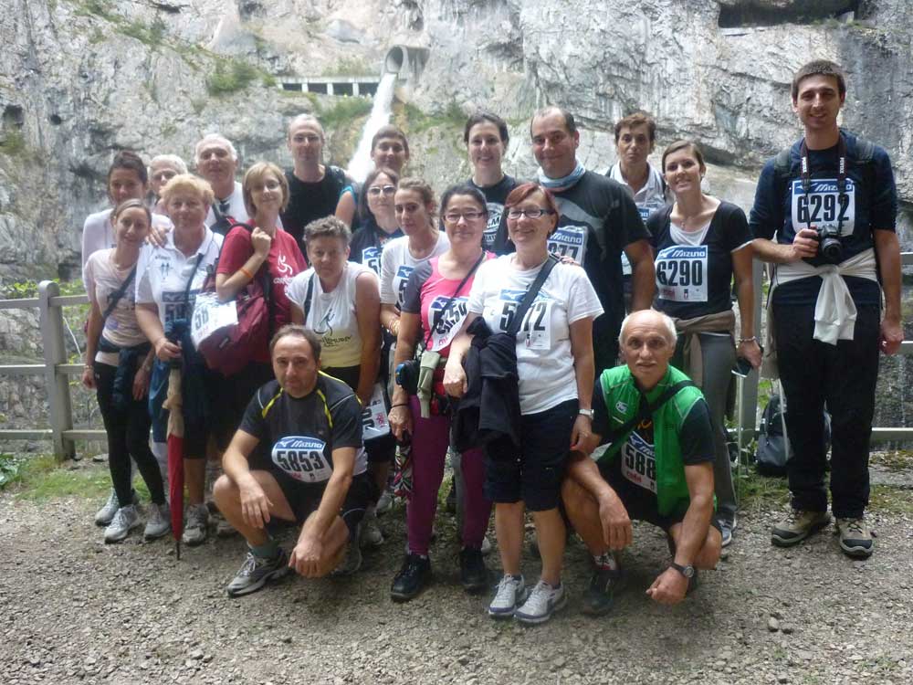 Salcus a Longarone 