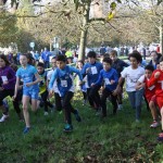 Cavara e Zapparoli alla prima del Trofeo Città di Ferrara