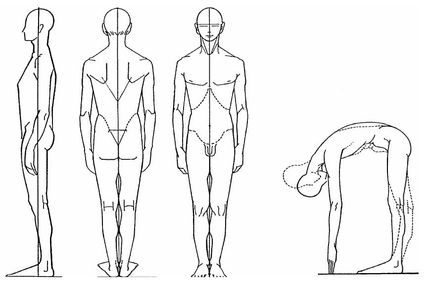 Lo stretching analitico 