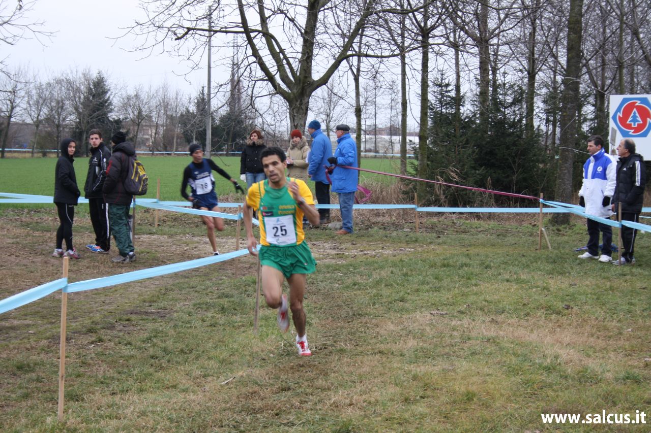 Nasef favorito domani a Pescantina