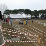 SALCUS A TUTTO CROSS