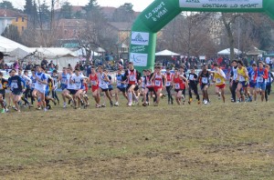 cross 2013