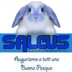 Buona Pasqua