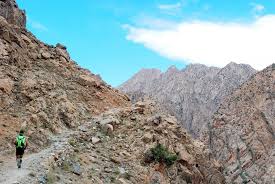 Ultra e trail : Metodologia dell'allenamento della resistenza 