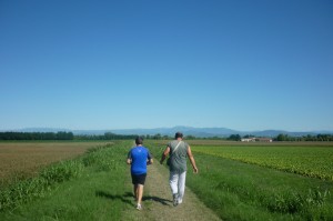 Ritorno sull' argine  alla fine dei 19 Km