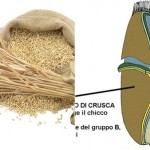 Riadattiamo i gusti ai cibi integrali