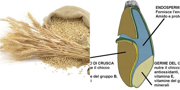 Riadattiamo i gusti ai cibi integrali