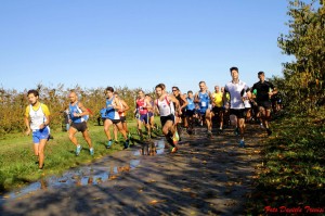 1899444_893110937374011_4047082934261645739_o