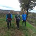 Salcus ad Asigliano Veneto