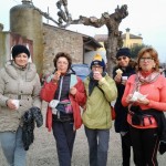 Salcus FIASP dai colli alla pianura