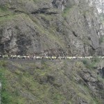 Salcus a Longarone e a Castagnaro