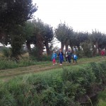 SALCUS FIASP ad Anson di Minerbe