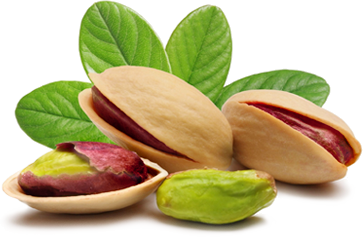 Il pistacchio un aiuto per il cuore