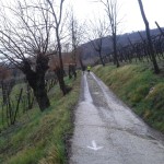 Salcus Fiasp a Brendola e Tribano