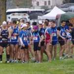 Arginina e Citrullina: integratori per chi pratica sport