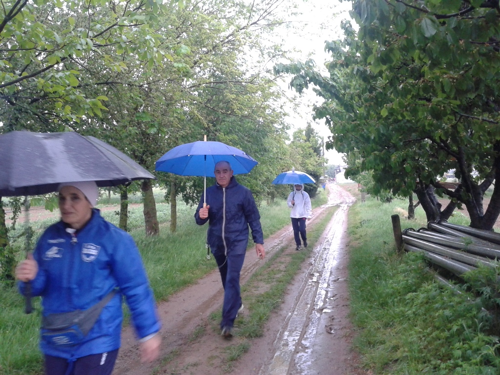 SALCUS - 1° Maggio ad Arcole