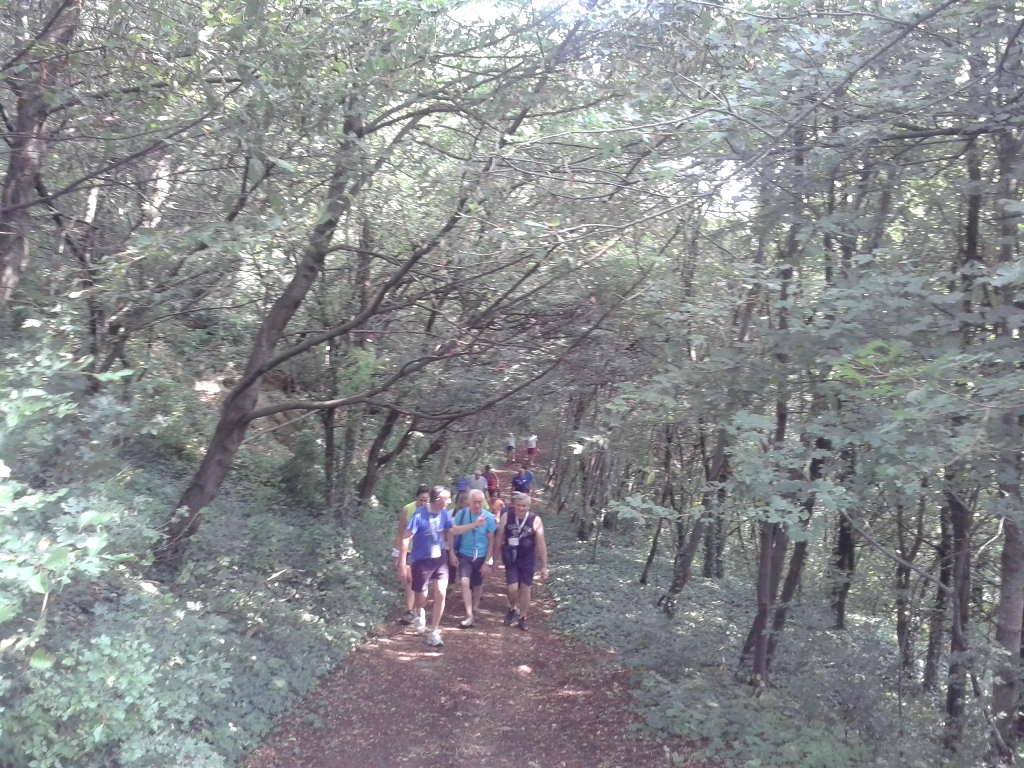 Week End Salcus