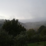 SALCUS a Castegnero
