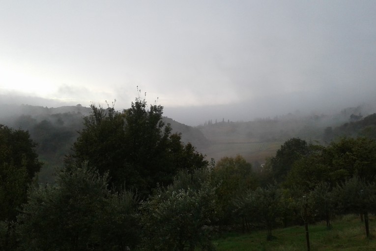 SALCUS a Castegnero