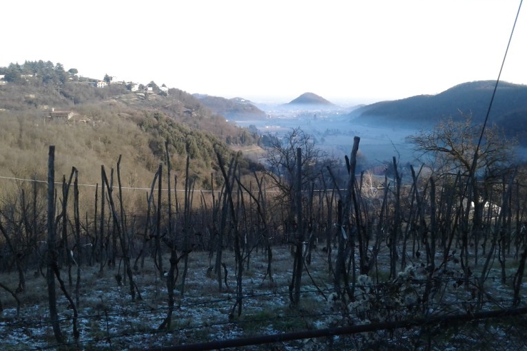 1° Gennaio 2017 SALCUS a Teolo