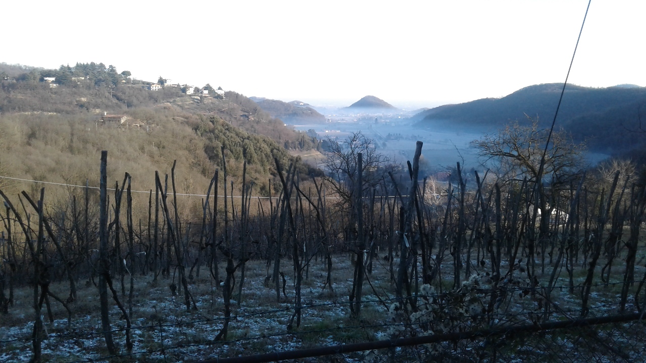 1° Gennaio 2017 SALCUS a Teolo