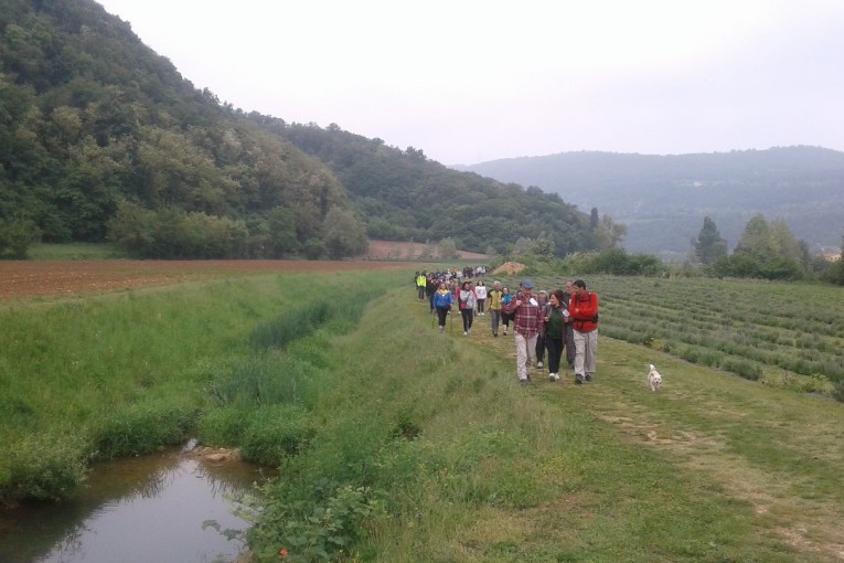 Week end Salcus