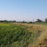 Salcus si sdoppia tra Rovenega e Legnago