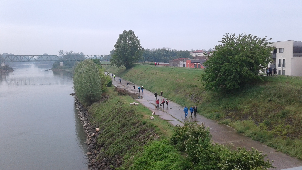 Salcus a Casette di Legnago