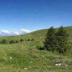 Salcus sul Pasubio e a Bevilacqua