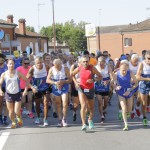 Salcus a Francolino