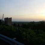 SALCUS dalla “Enotturna” alla “Patata”