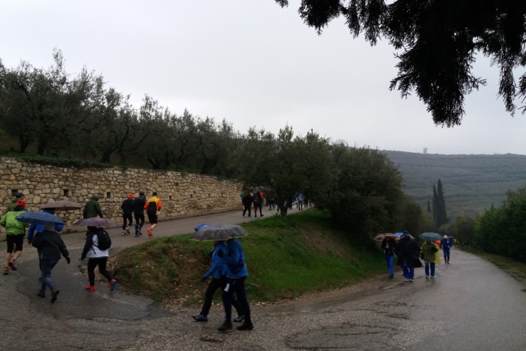 Week end Salcus