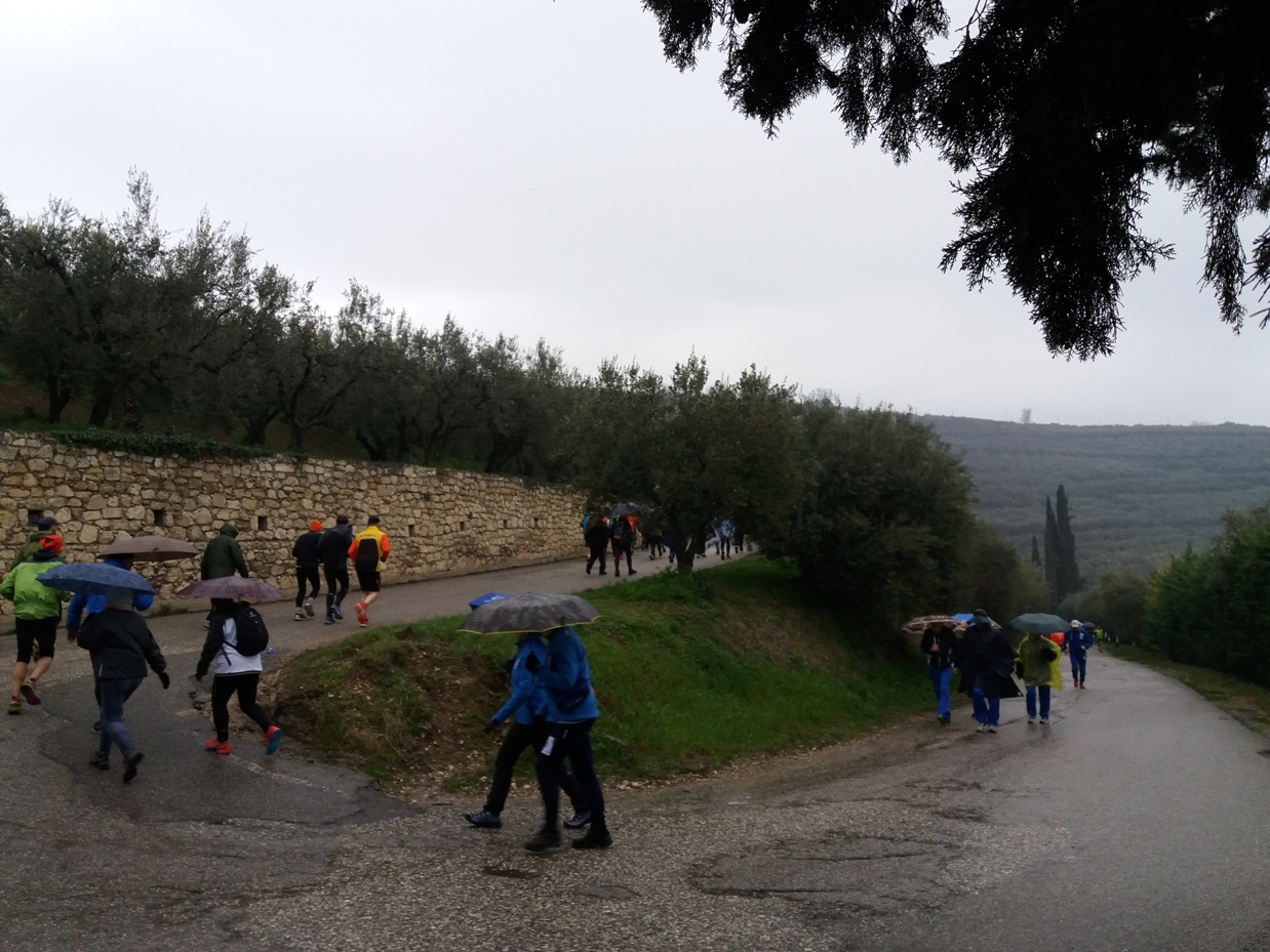 In una domenica bagnata ad Illasi e Monselice