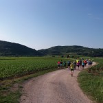 SALCUS a Baruchella ed a Vò di Brendola