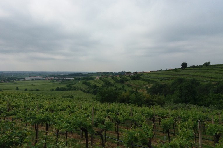 Una domenica SALCUS fra collina e pianura