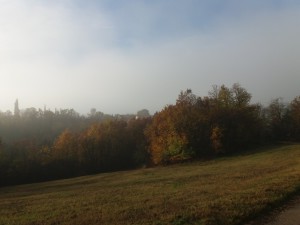 Orgiano 8 dicembre 2018