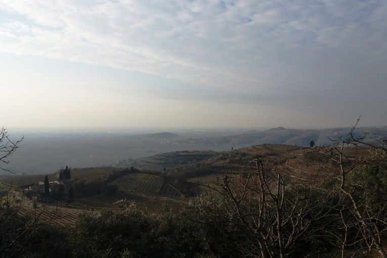 SALCUS sulle alture del Soave e non solo