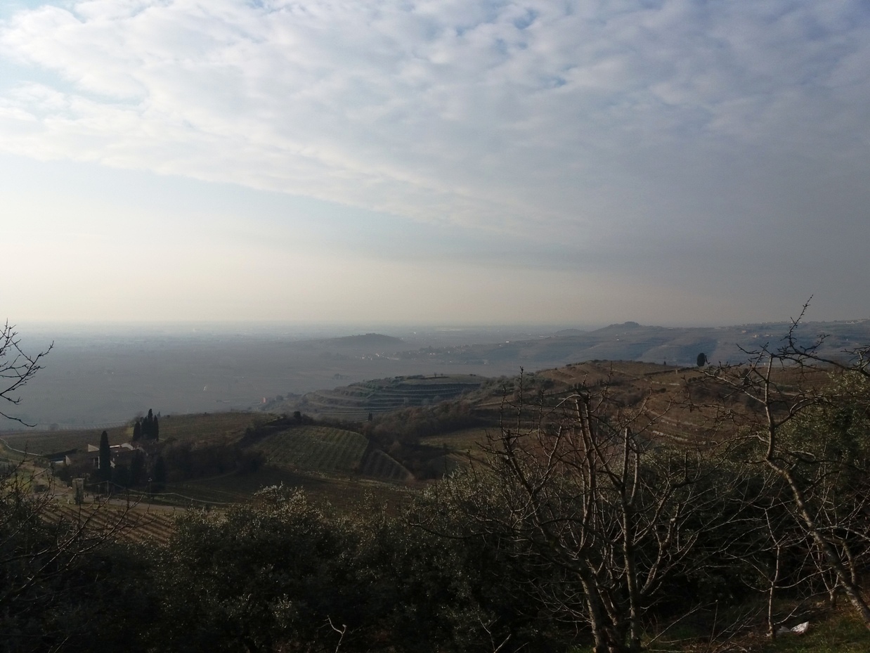 SALCUS sulle alture del Soave e non solo