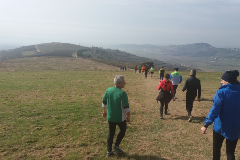 SALCUS sulle alture di Illasi e Monselice