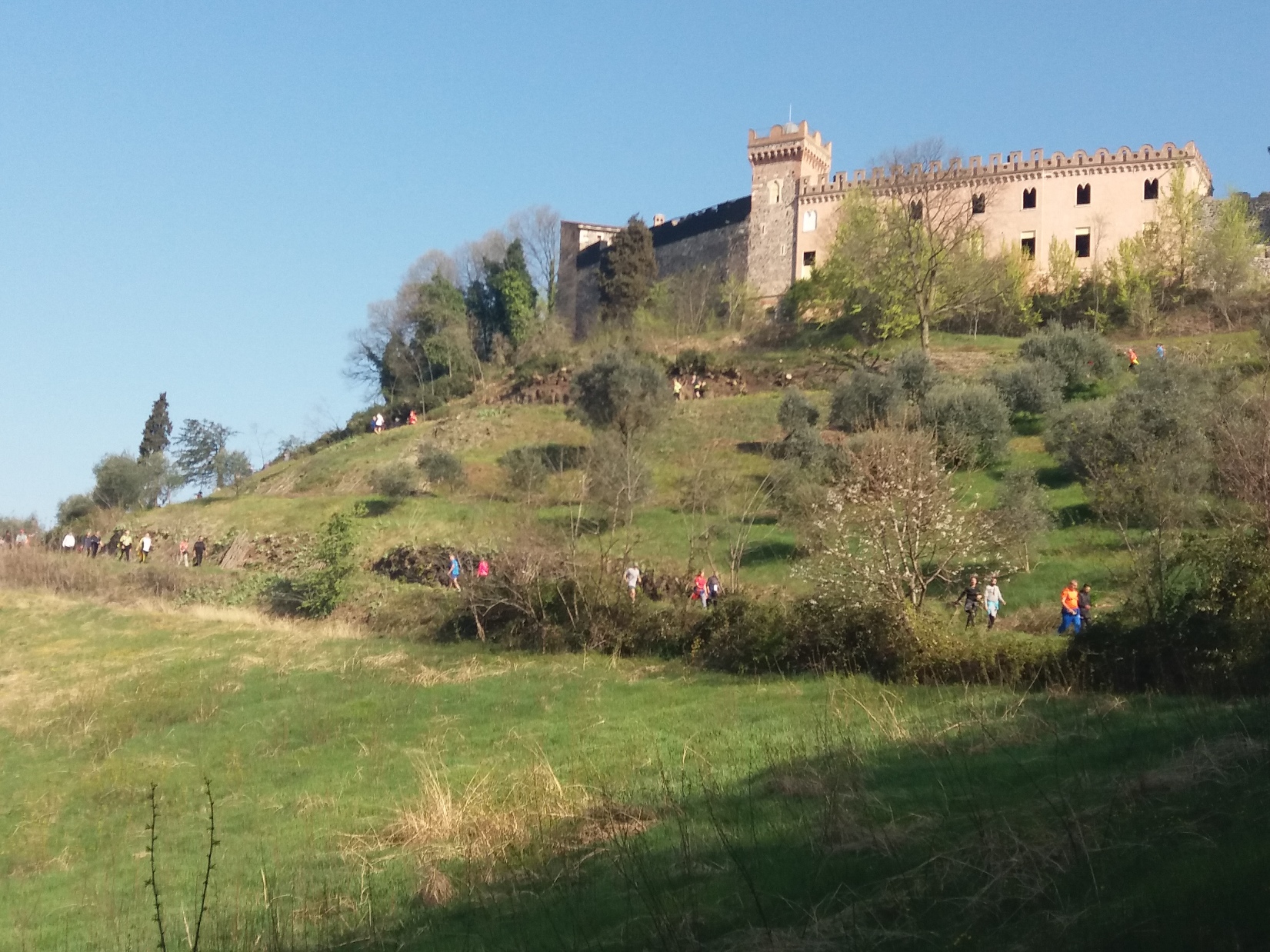 Salcus fra Ville e Castelli